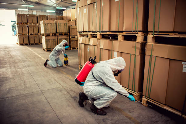 Best Pest Removal Services  in Eugene, OR