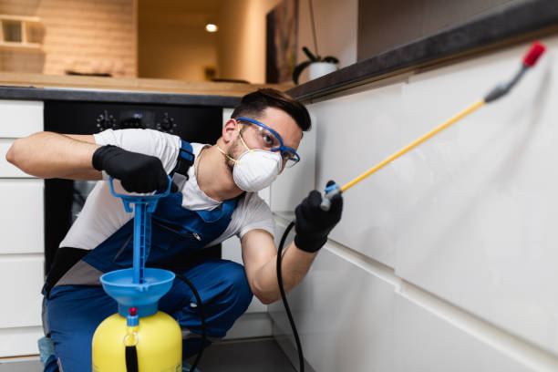 Best Residential Pest Control  in Eugene, OR