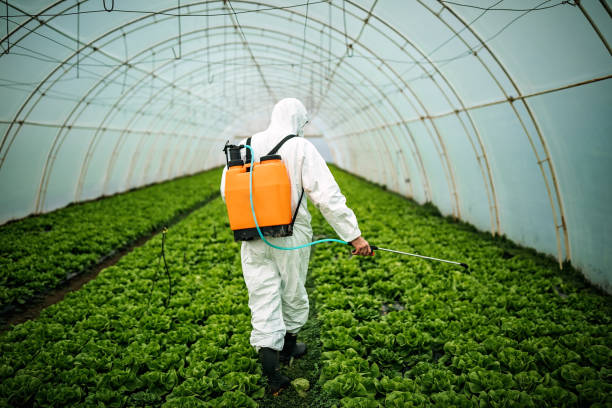 Best Best Pest Control Companies  in Eugene, OR