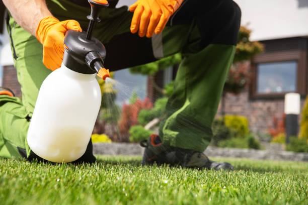 Best Pest Control Near Me  in Eugene, OR