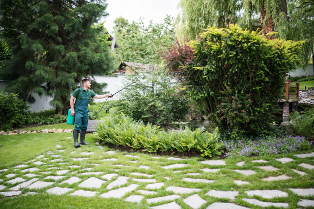 Pest Prevention Services in Eugene, OR