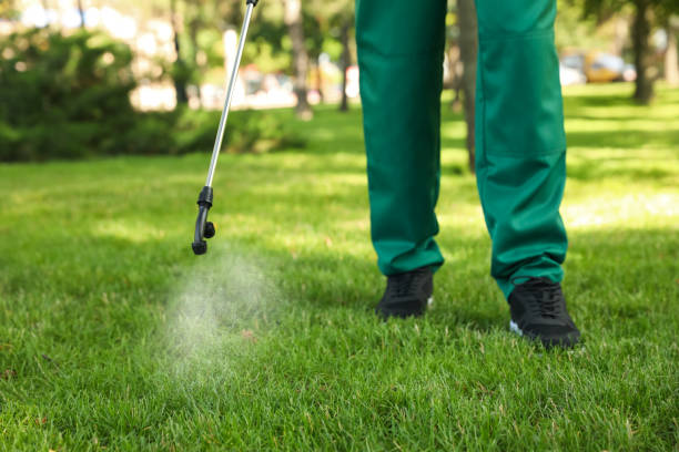 Best Residential Pest Control  in Eugene, OR