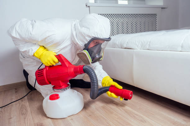 Best Local Pest Control Services  in Eugene, OR