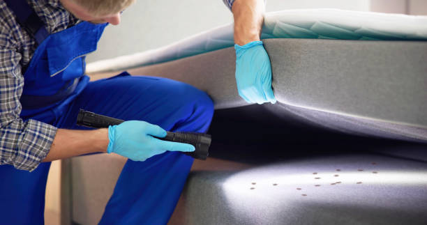Best Flea Control Services  in Eugene, OR