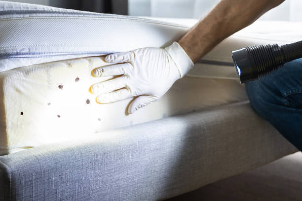 Best Exterminator Services  in Eugene, OR