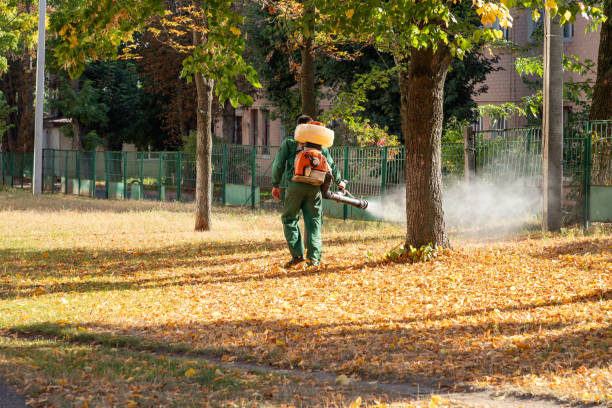 Best Best Pest Control Companies  in Eugene, OR