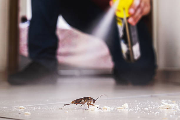 Best Rat Extermination Near Me  in Eugene, OR