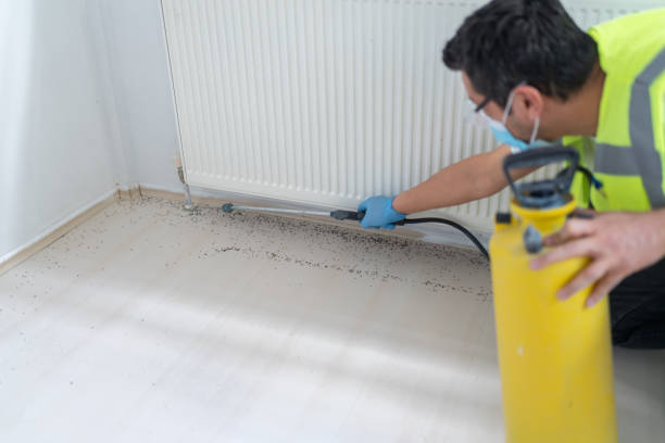 Pest Control Cost in Eugene, OR