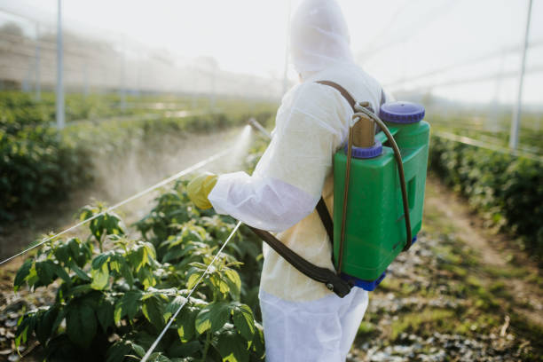 Best Wildlife Control Services  in Eugene, OR